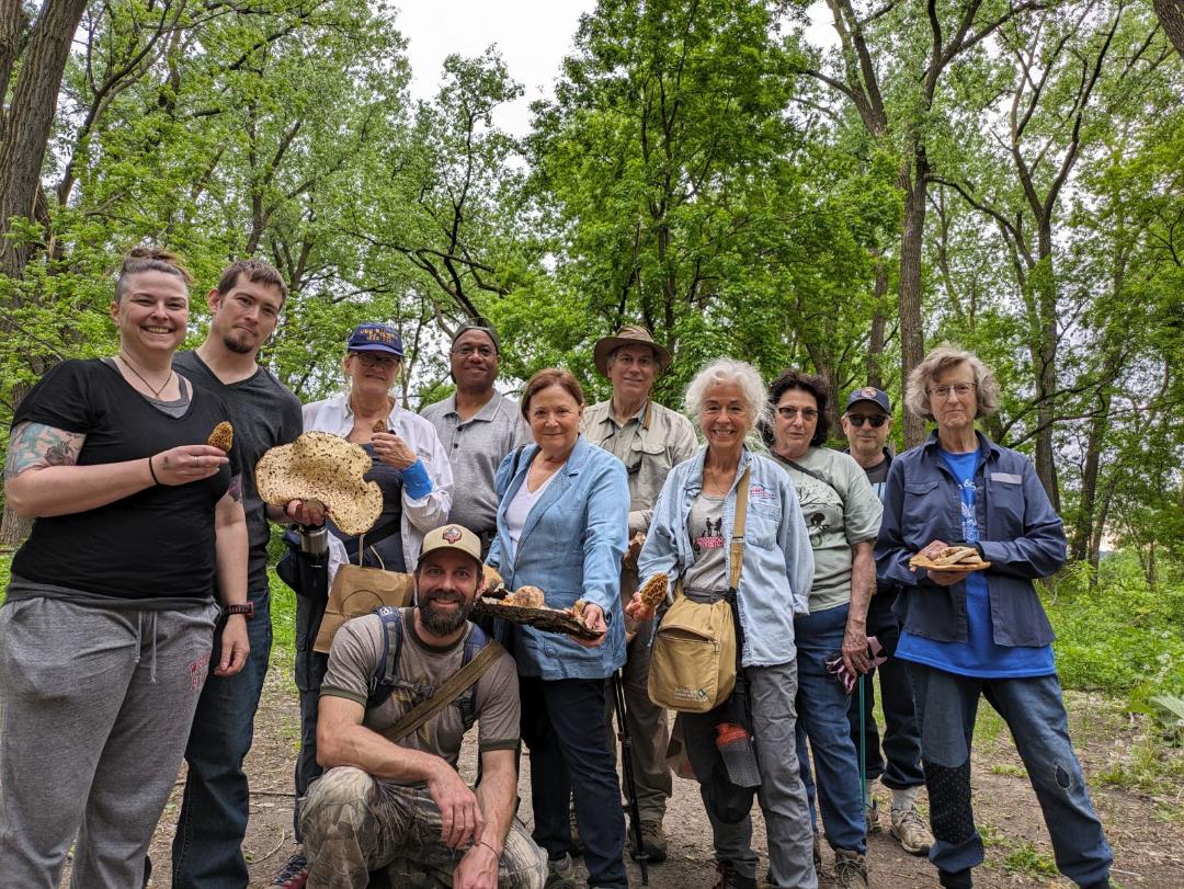 Summer Mushroom Hunt